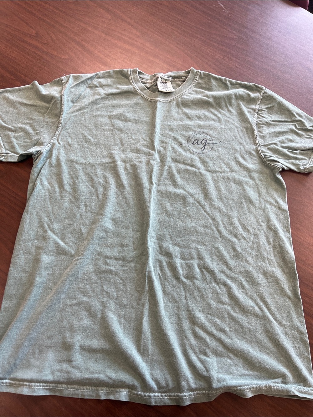 Comfort Colors Sage Green Short Sleeve Logo Tee